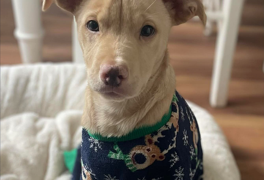 iethzcyu6mucixitcy4x